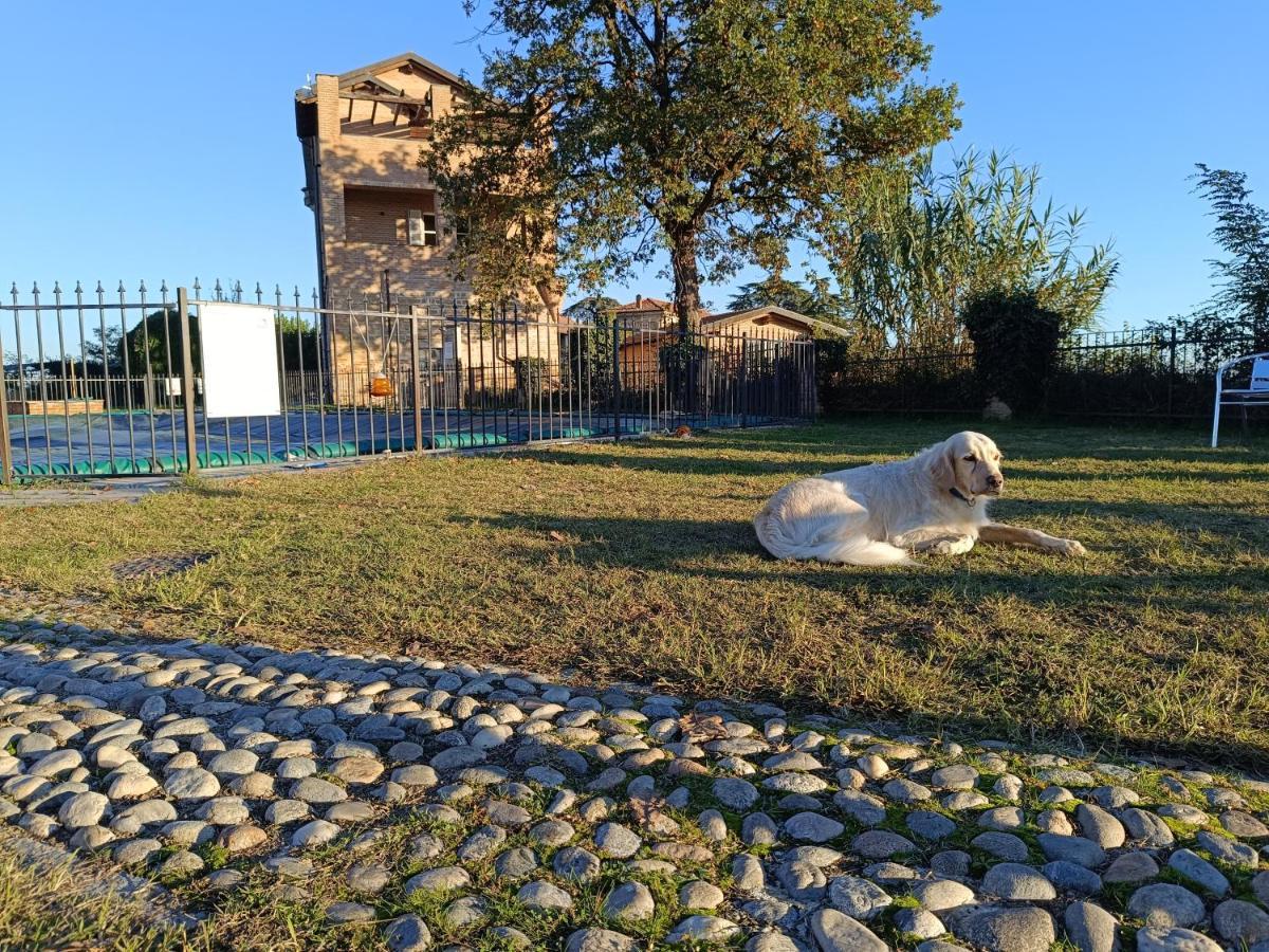 Tormalina Rosa Presso La Bordona Villa Vignale Monferrato Ngoại thất bức ảnh