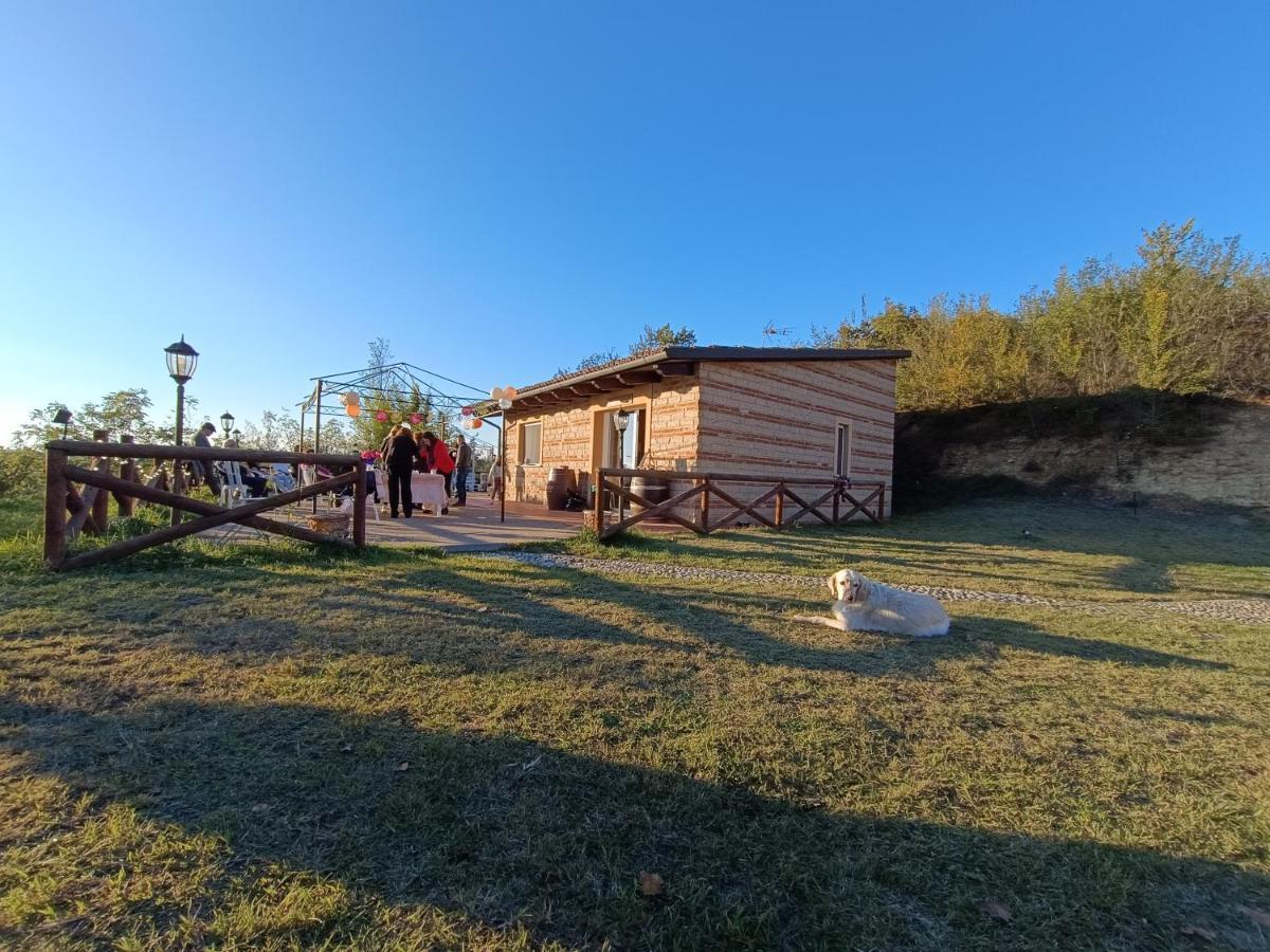 Tormalina Rosa Presso La Bordona Villa Vignale Monferrato Ngoại thất bức ảnh
